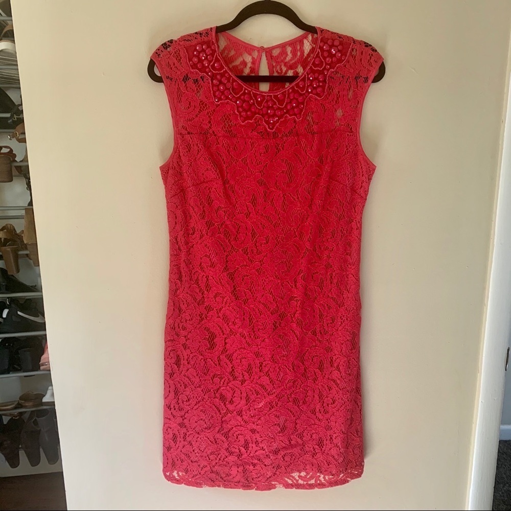 Raspberry Lace Shift Dress